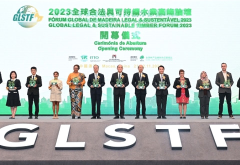 Global Forum on Legal and Sustainable Timber - GLSTF 2024