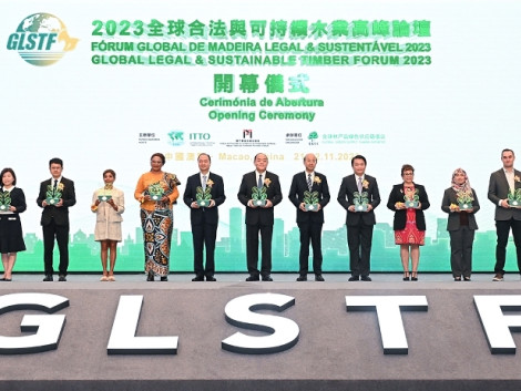 Global Forum on Legal and Sustainable Timber - GLSTF 2024