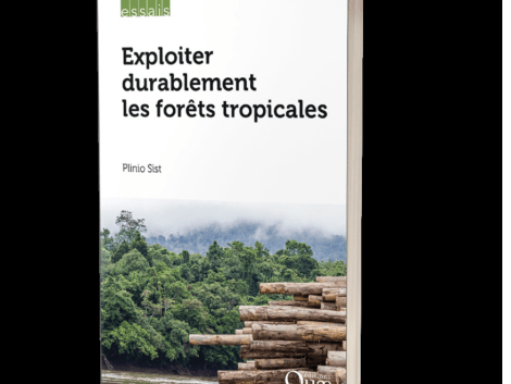 Publication of an essay titled “Exploiting tropical forests sustainably”