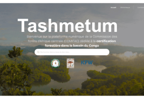 Online launch of Tashmetum: the platform that centralizes documentation on forest certification in Central Africa