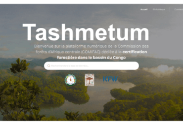 Mise en ligne de Tashmetum : la plateforme qui centralise la documentation sur la certification forestière en Afrique centrale