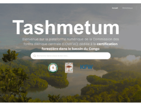 Online launch of Tashmetum: the platform that centralizes documentation on forest certification in Central Africa